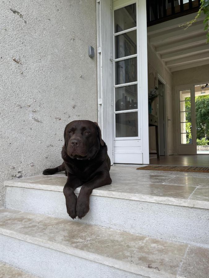 Villa Cassandre Esvres Bagian luar foto