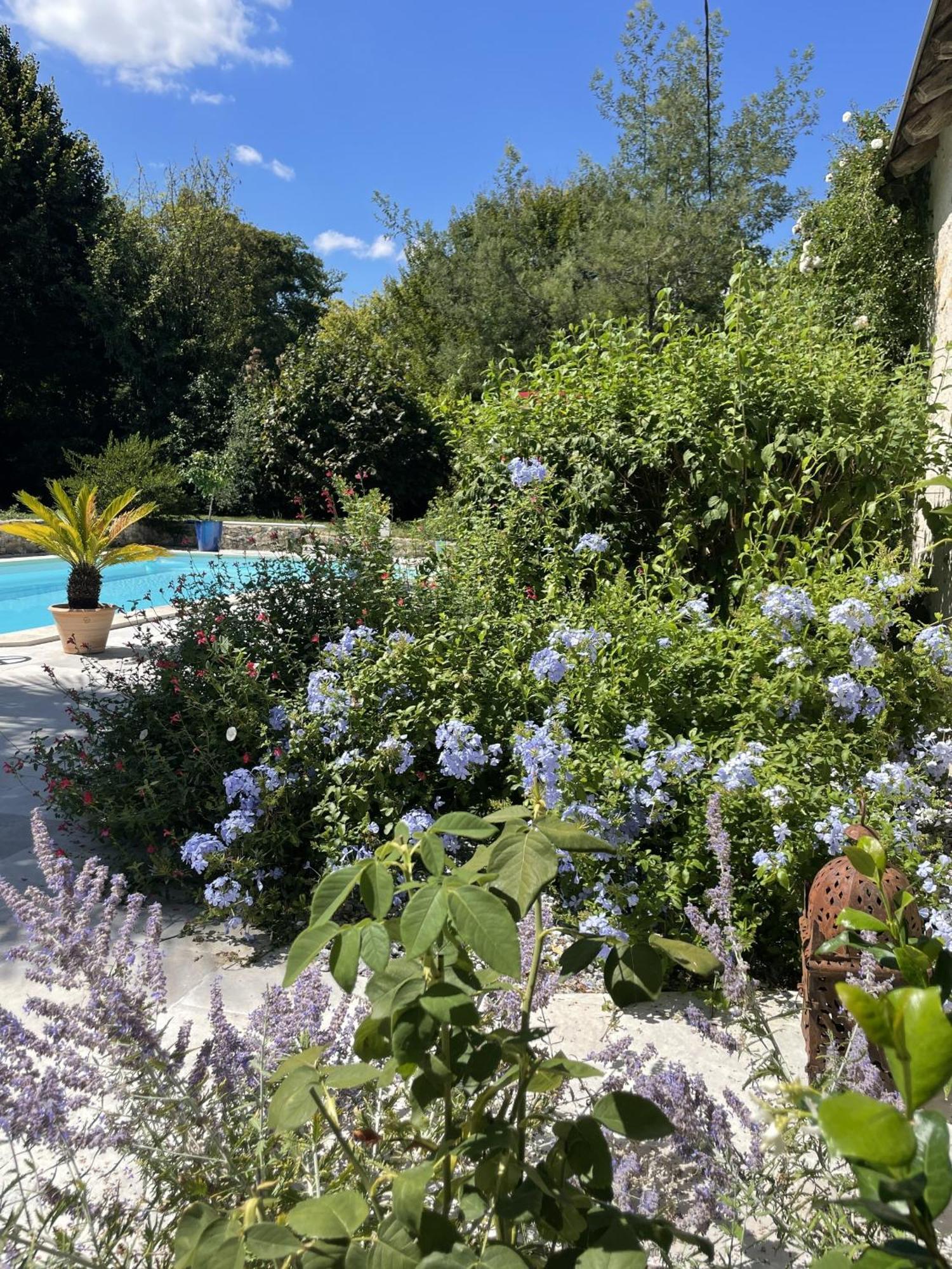 Villa Cassandre Esvres Bagian luar foto